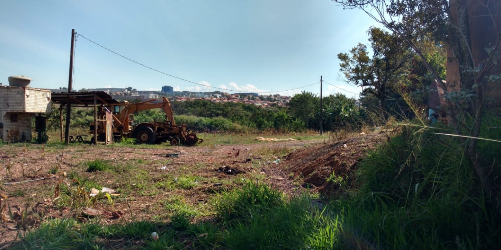 Área