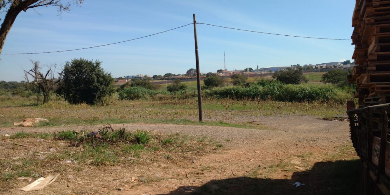 Área