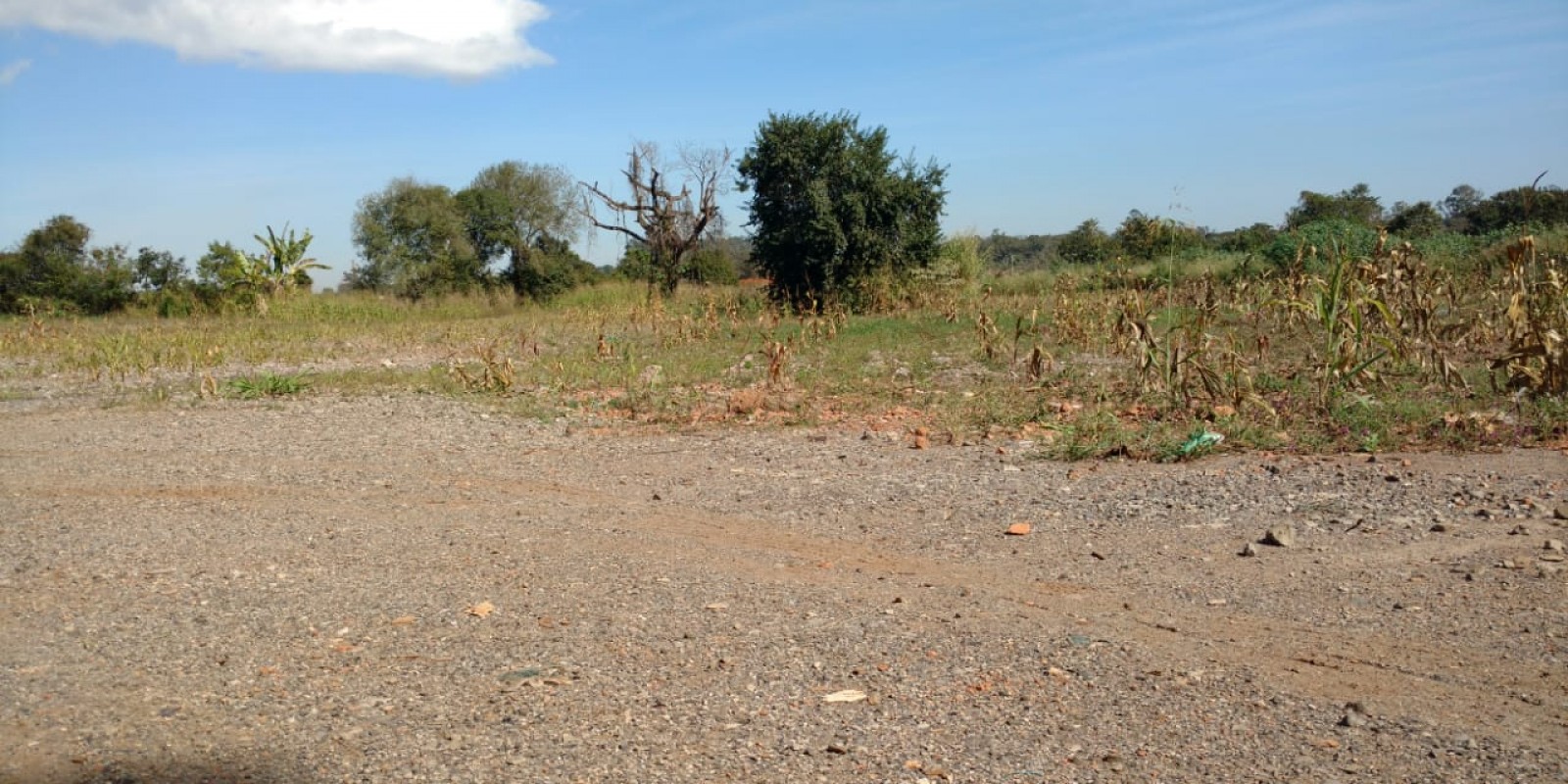 Área