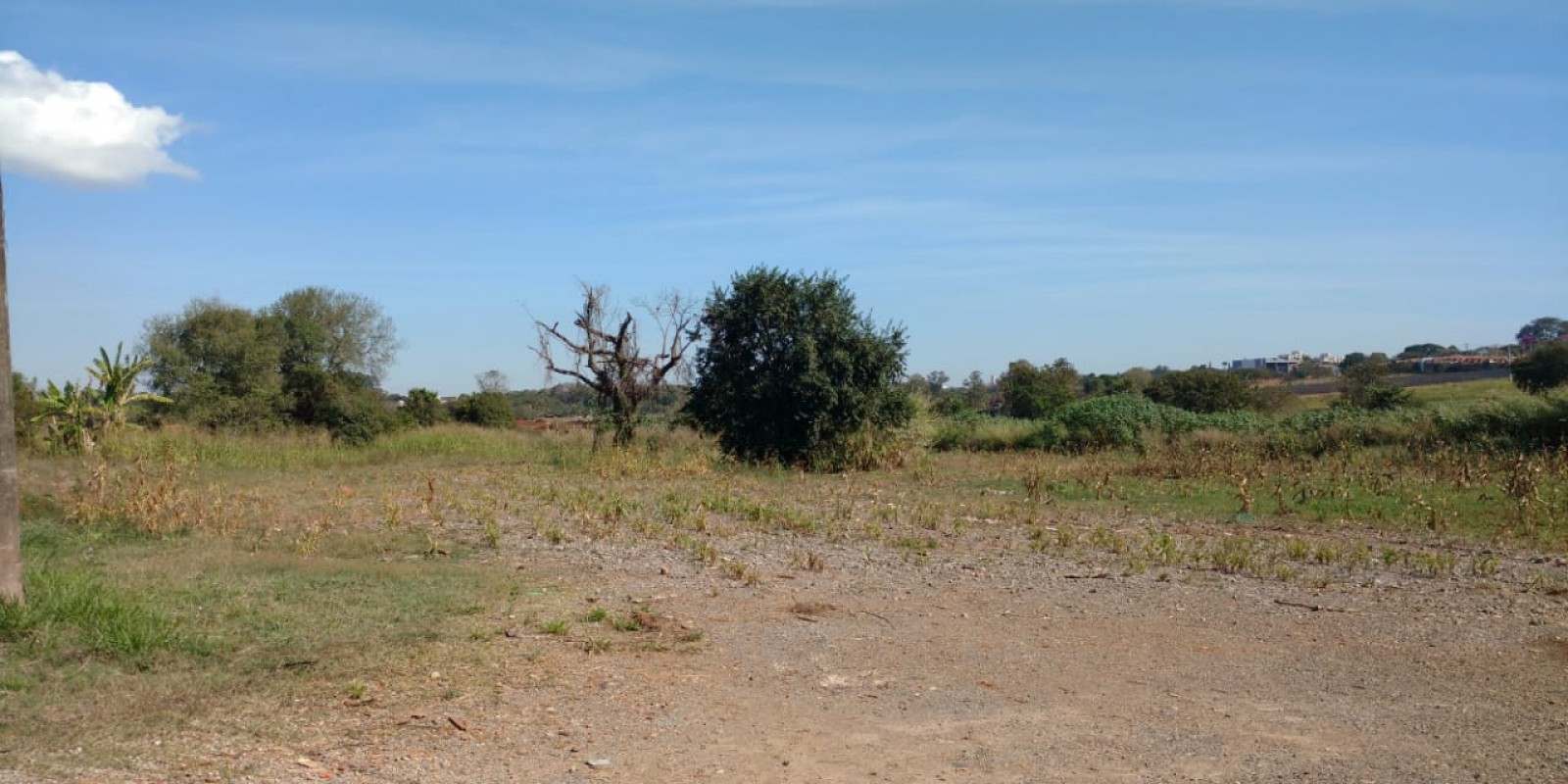 Área