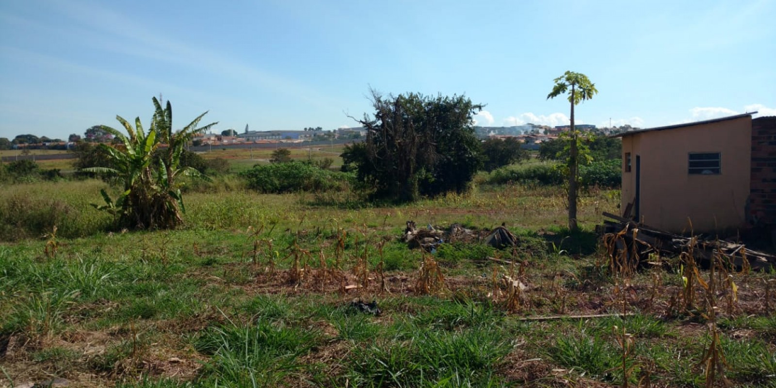 Área