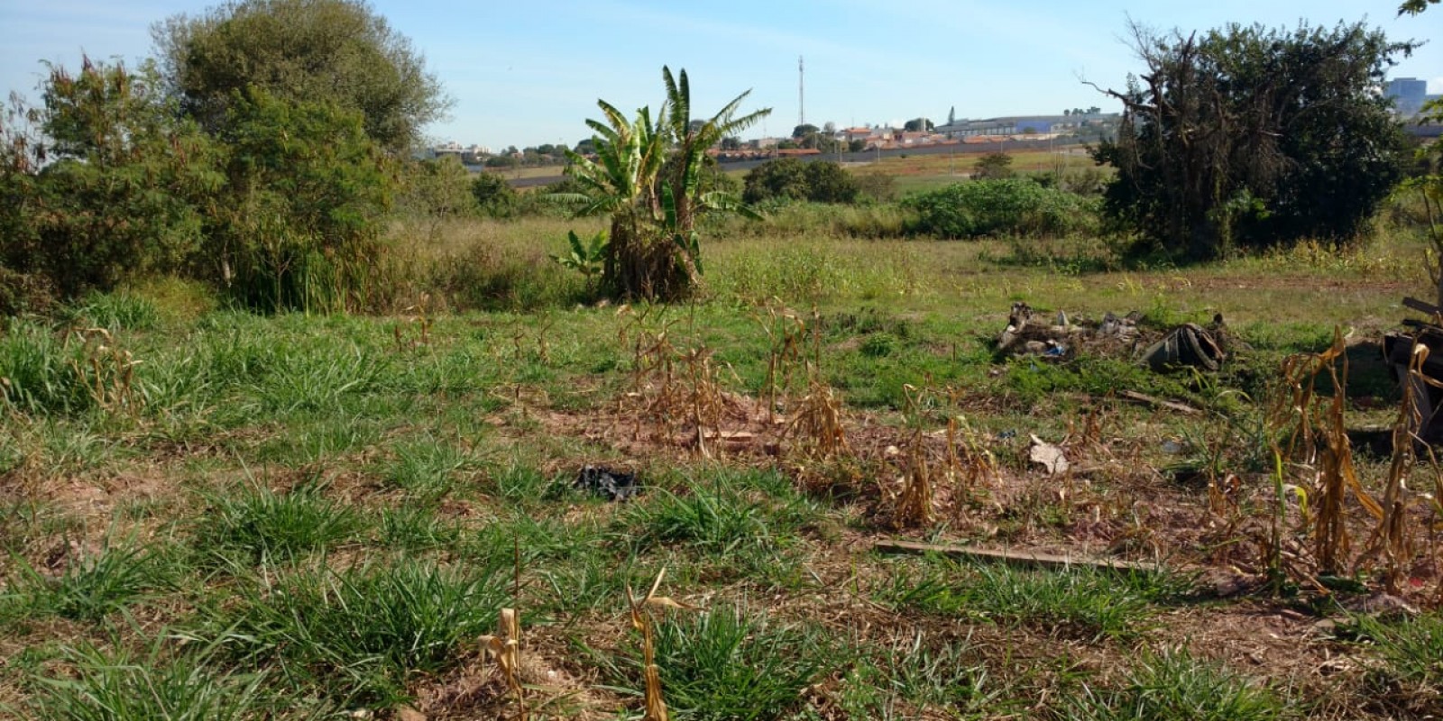 Área