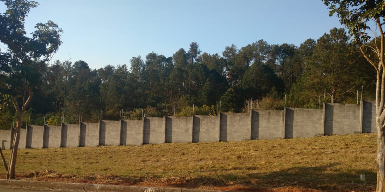 Terreno Portal do Horto