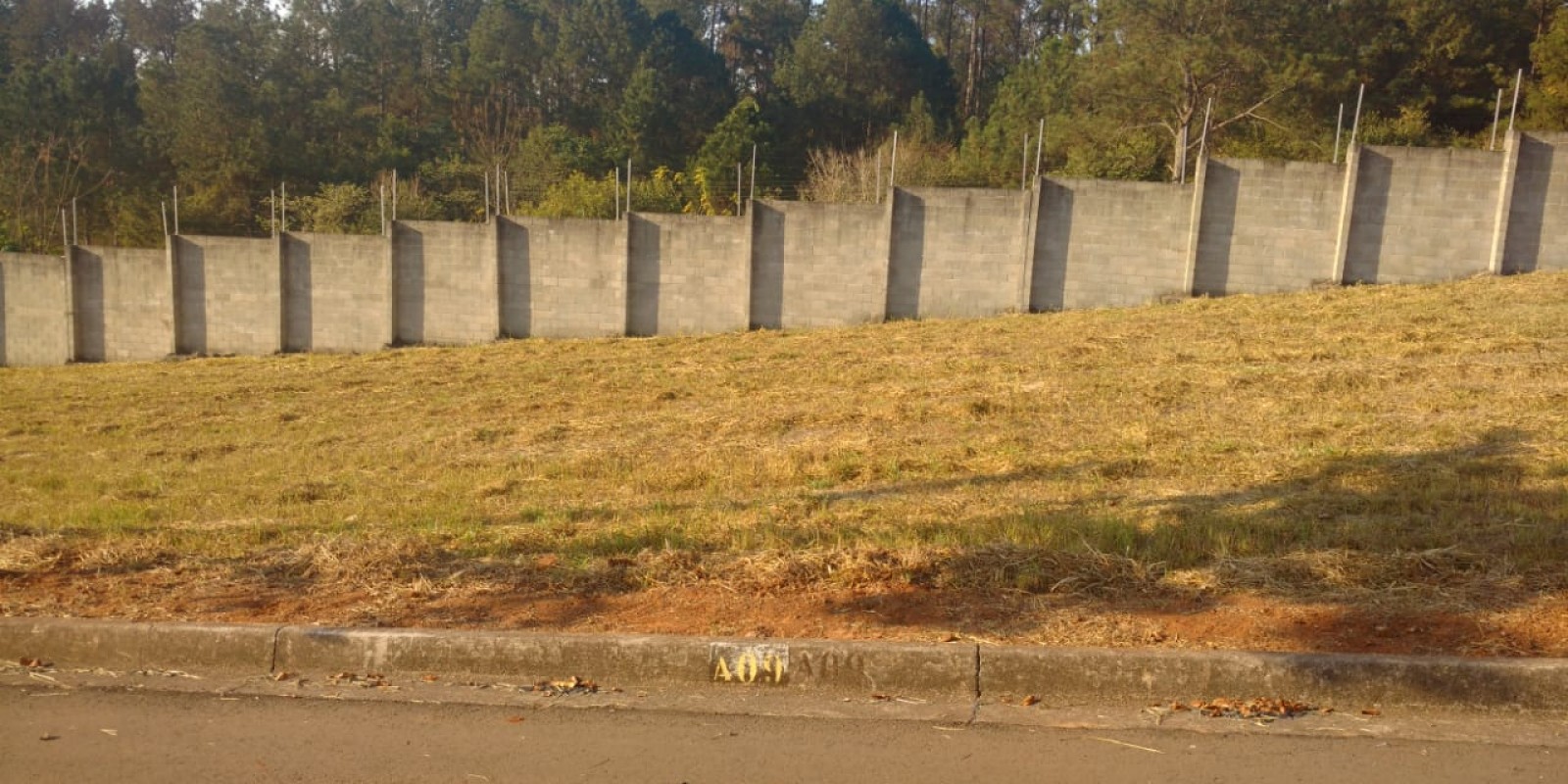 Terreno Portal do Horto