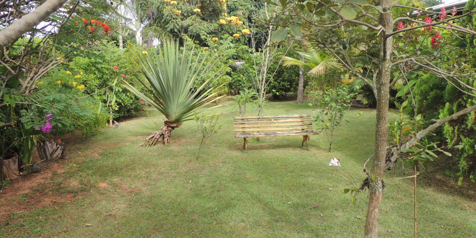 Casa à Venda 3 dormitórios - São Pedro