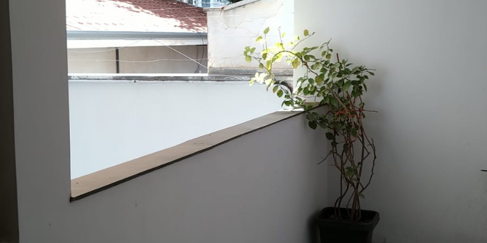 Casa no centro 3 dormitórios