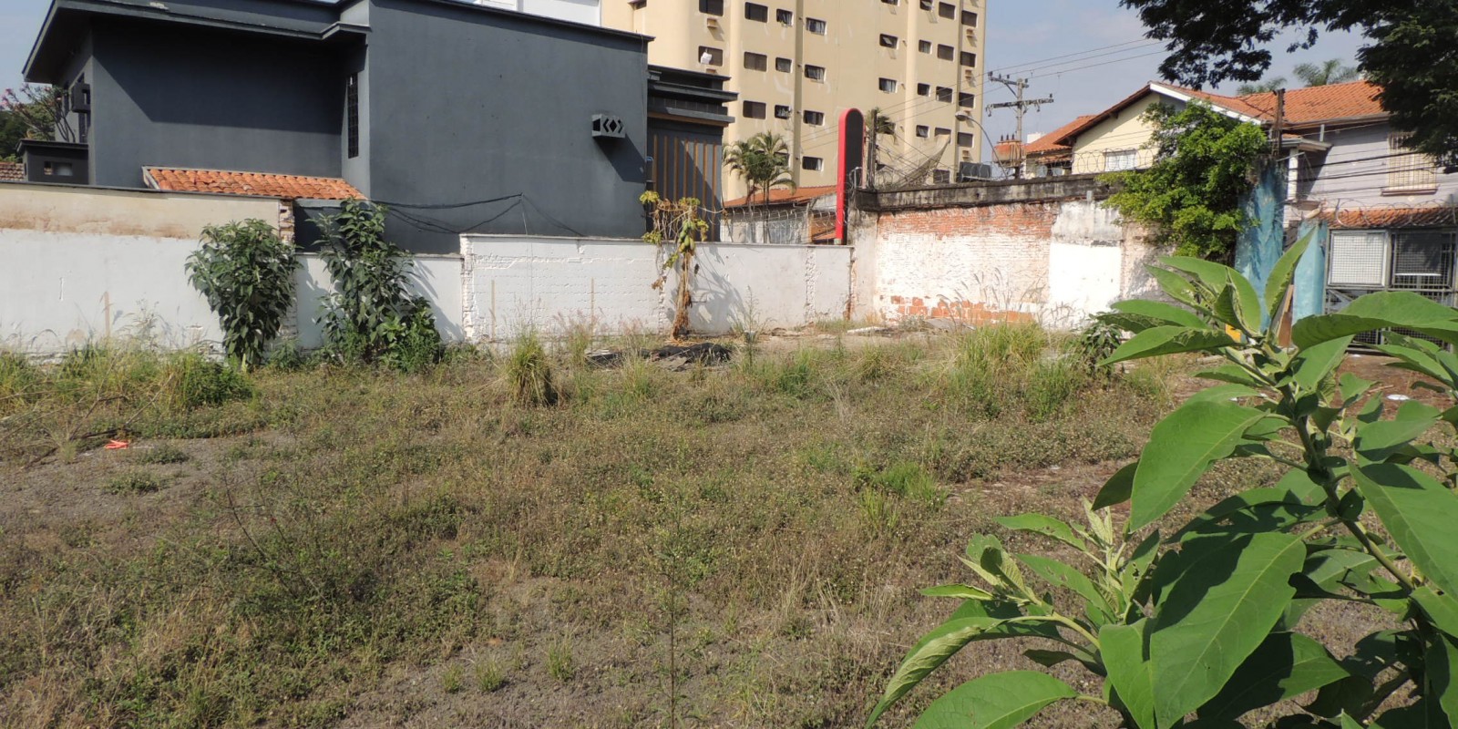 Terreno à venda , 1.231mt² Centro