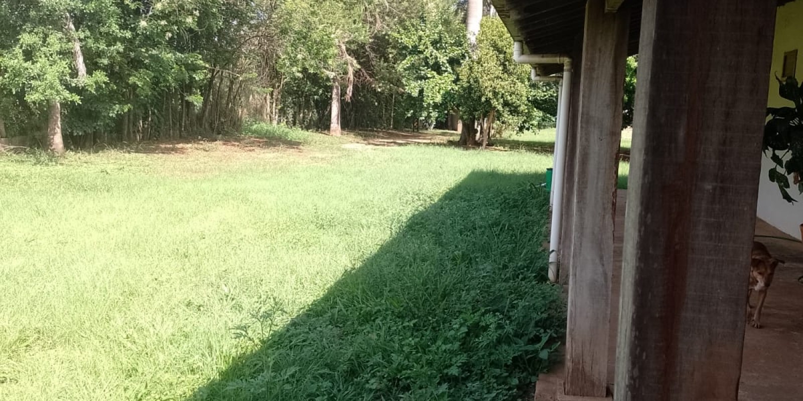 Chácara próximo ao Campestre