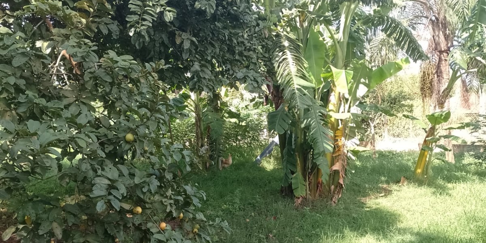 Chácara próximo ao Campestre