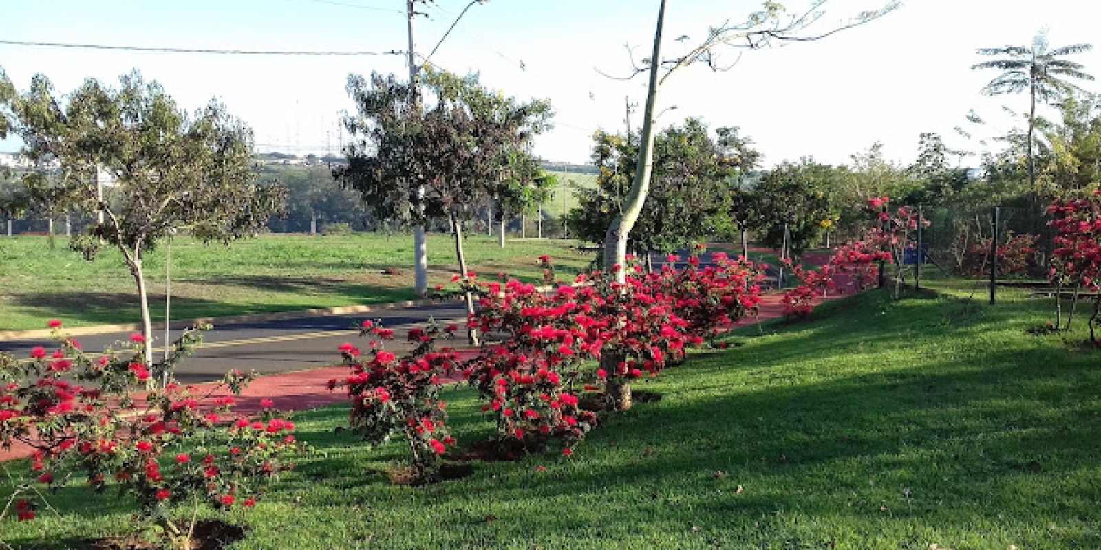 Terreno Condomínio Villa Bella Vista (Santa Rosa) 
