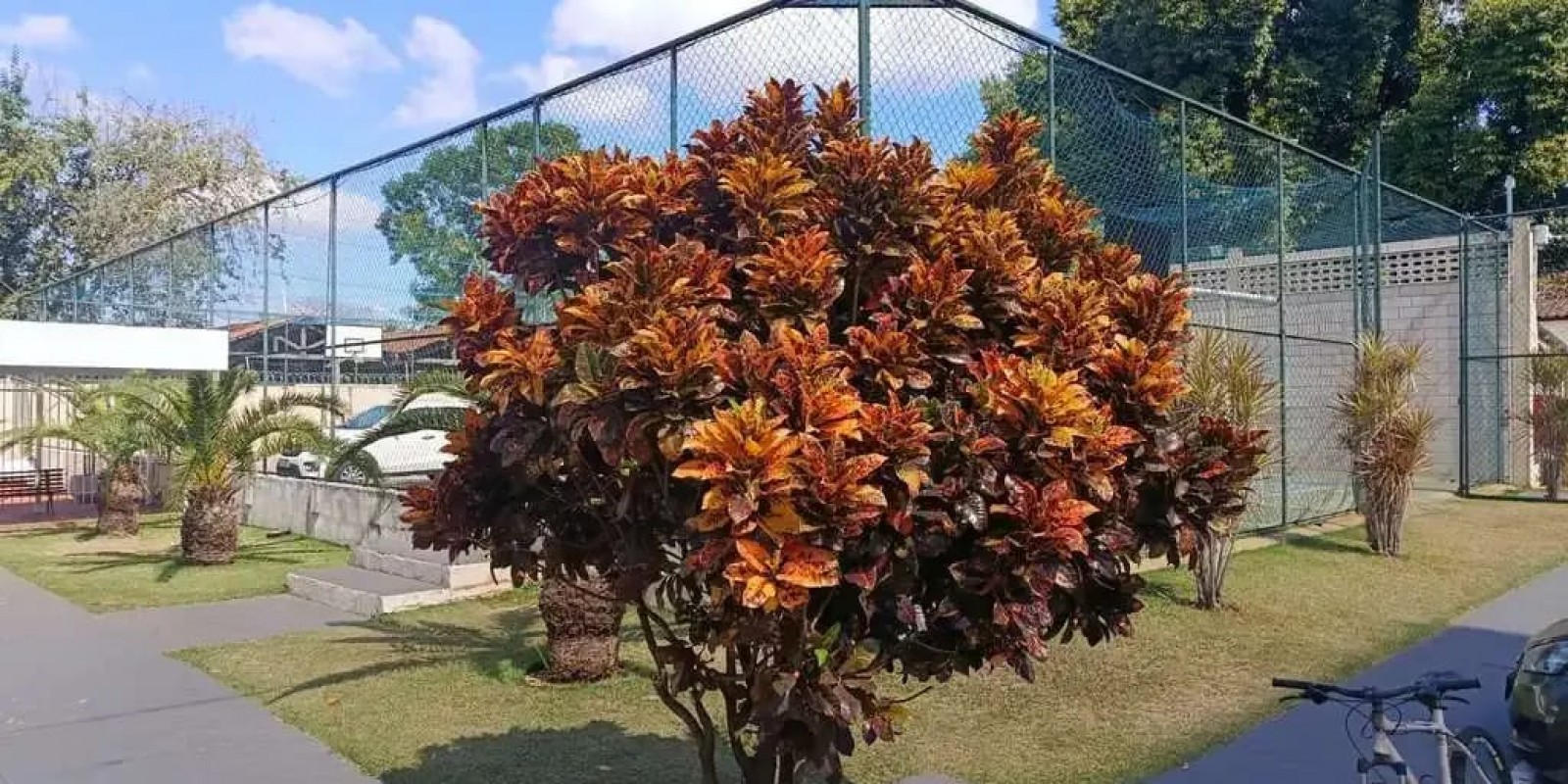 Apartamento a venda Residencial Las Palmas