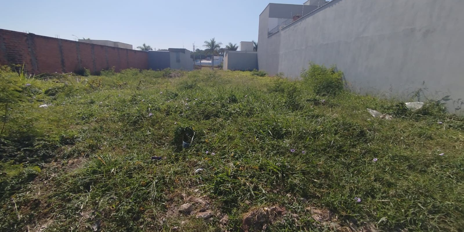 Terreno a venda Terrazul